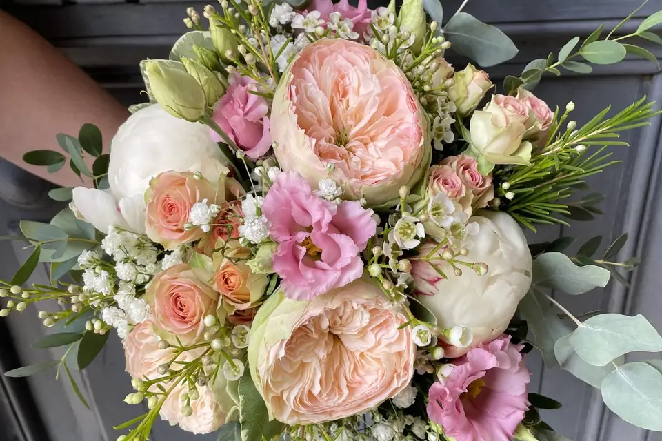 Violette et Pimprenelle — photo 8