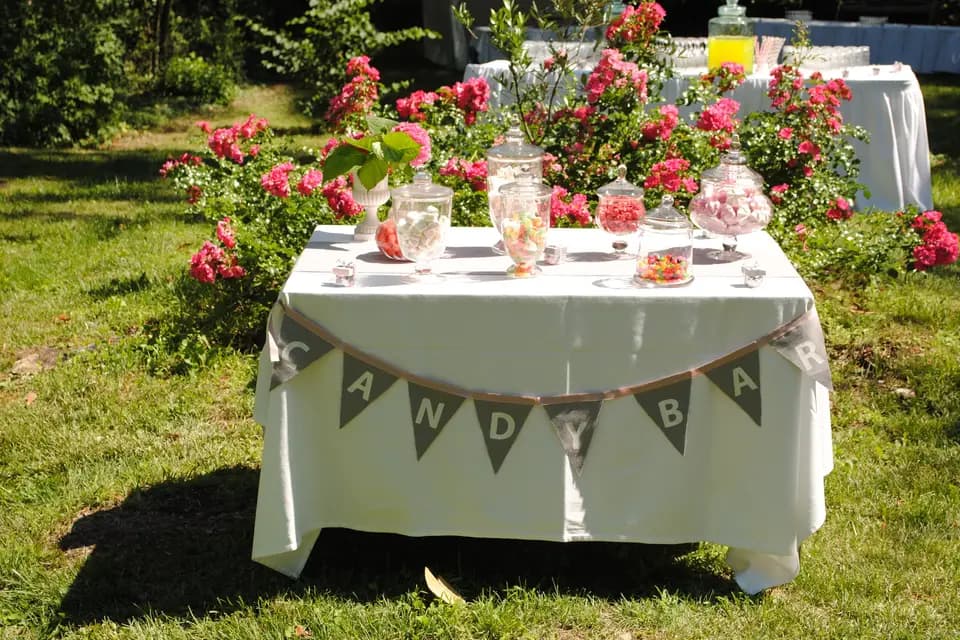 Molostoff Traiteur — photo 4