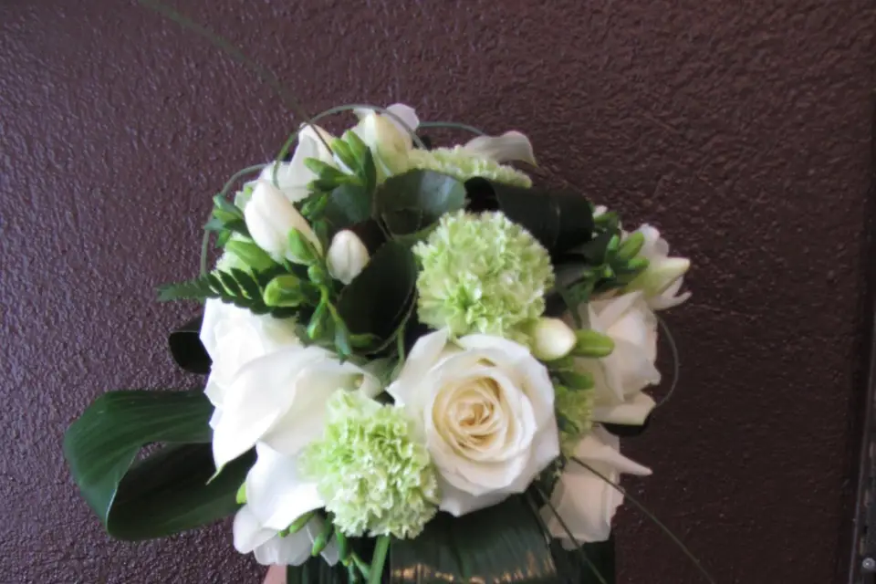 Florania — photo 1