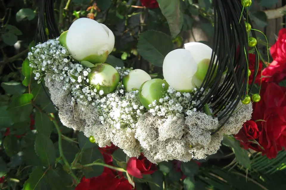 Florania — photo 6