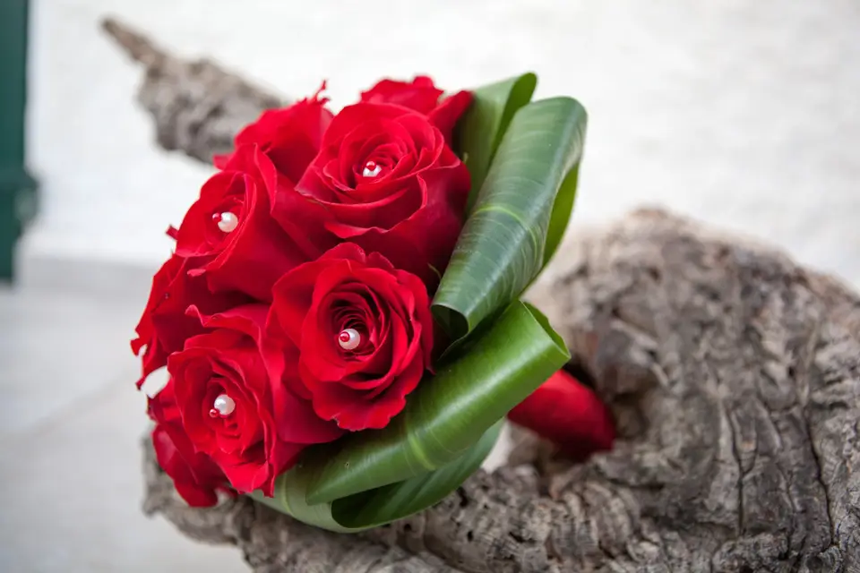 Florania — photo 2