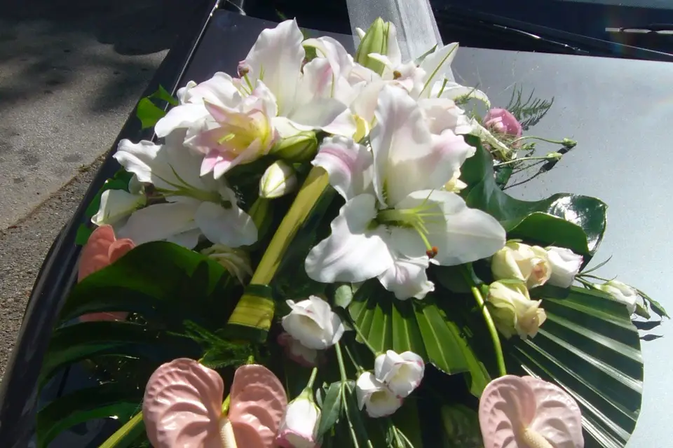 Florania — photo 7