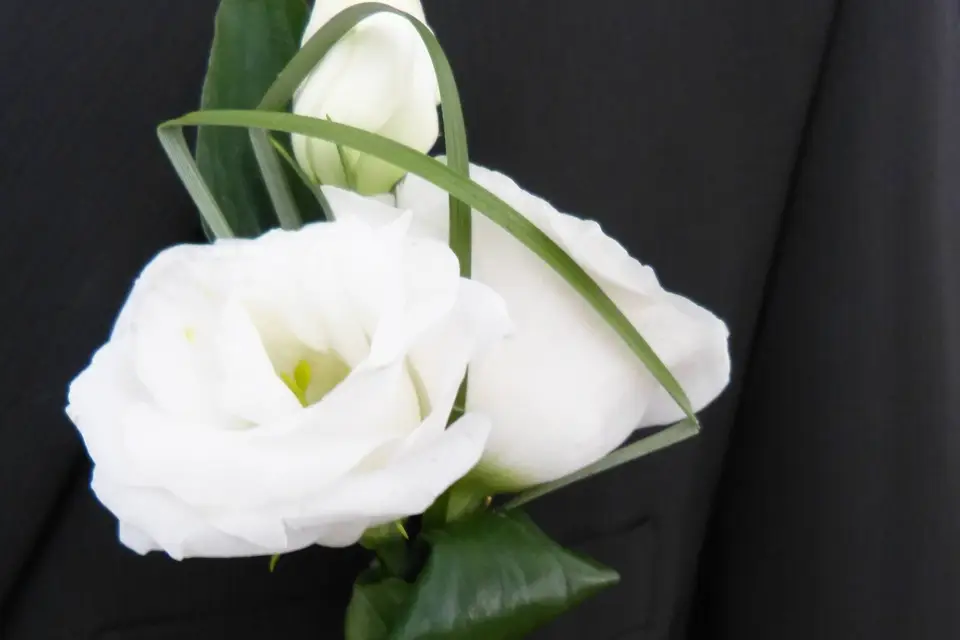 Florania — photo 5