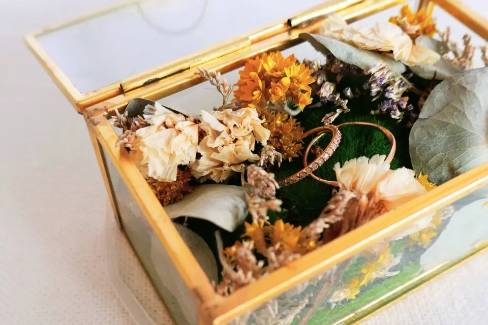 Les Évènements d'Alex — photo 4