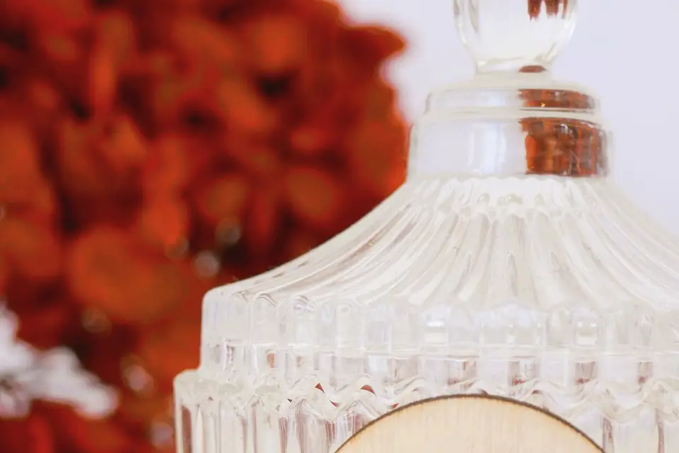 Les Évènements d'Alex — photo 5