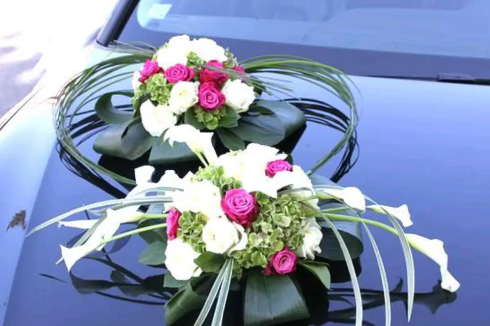 Elite Travel — photo 7