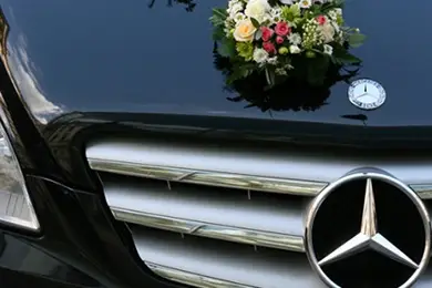 Elite Travel — photo 6