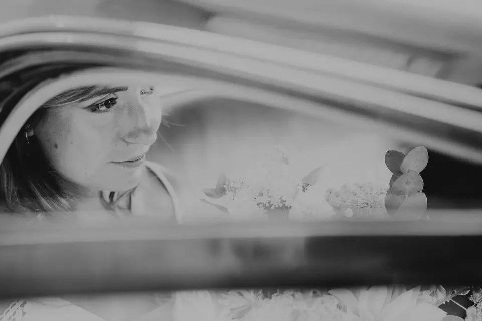 Monsieur Fly — photo 6