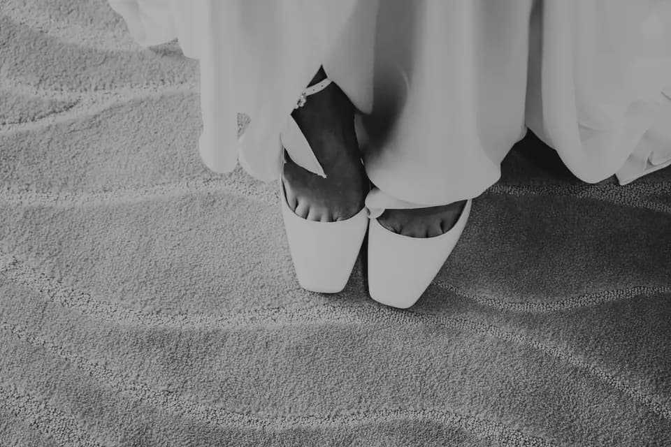 Monsieur Fly — photo 7