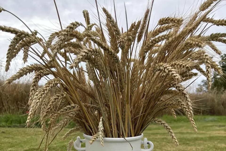 Les Déco de Claire — photo 4