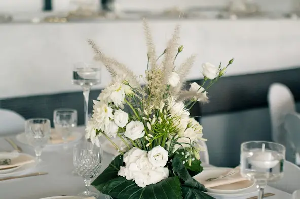 Nigellesetcie — photo 4