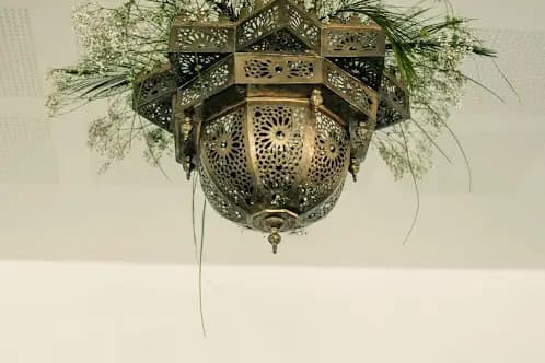 Nigellesetcie — photo 7