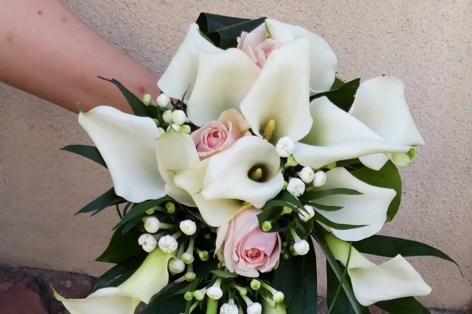 Esprit Nature — photo 8