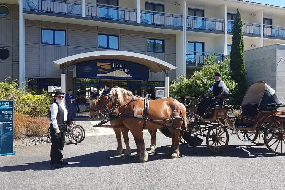Les Calèches du Lysos — photo 6