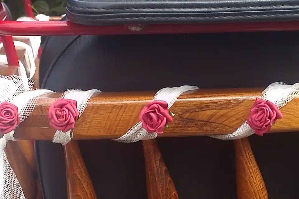 Les Calèches du Lysos — photo 8