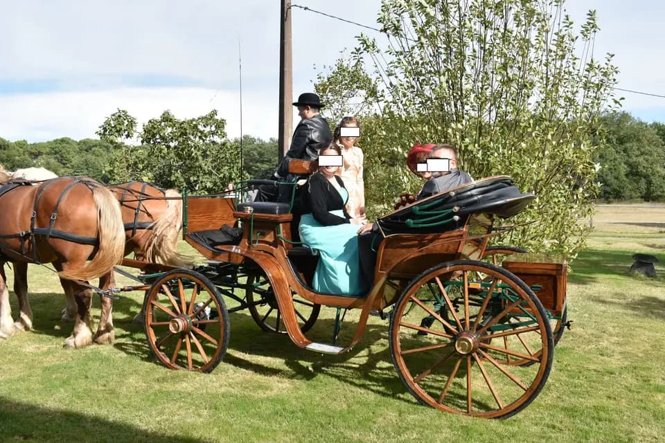 Les Calèches du Lysos — photo 4