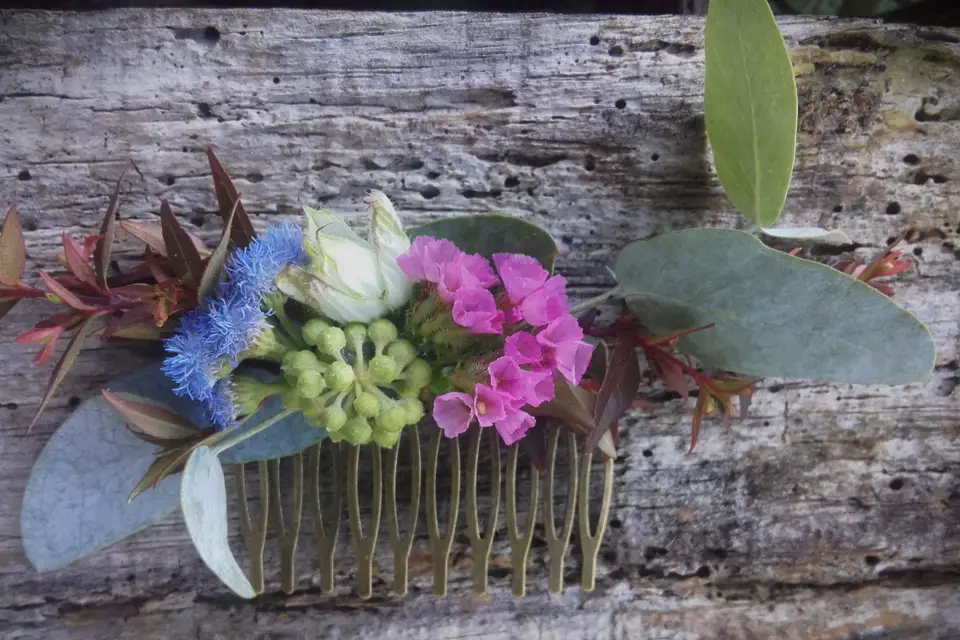 Le Champ Étoilé — photo 4