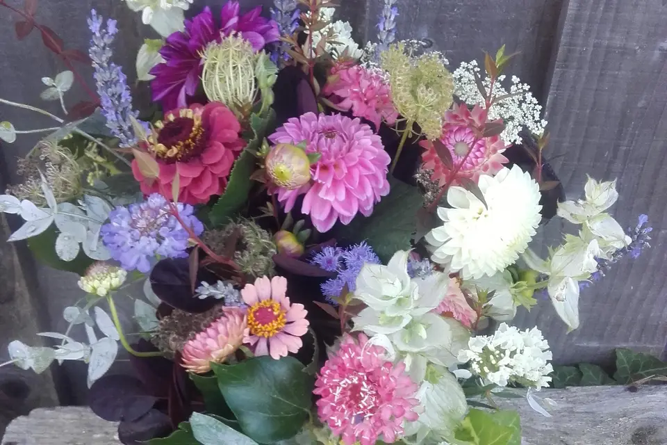 Le Champ Étoilé — photo 6