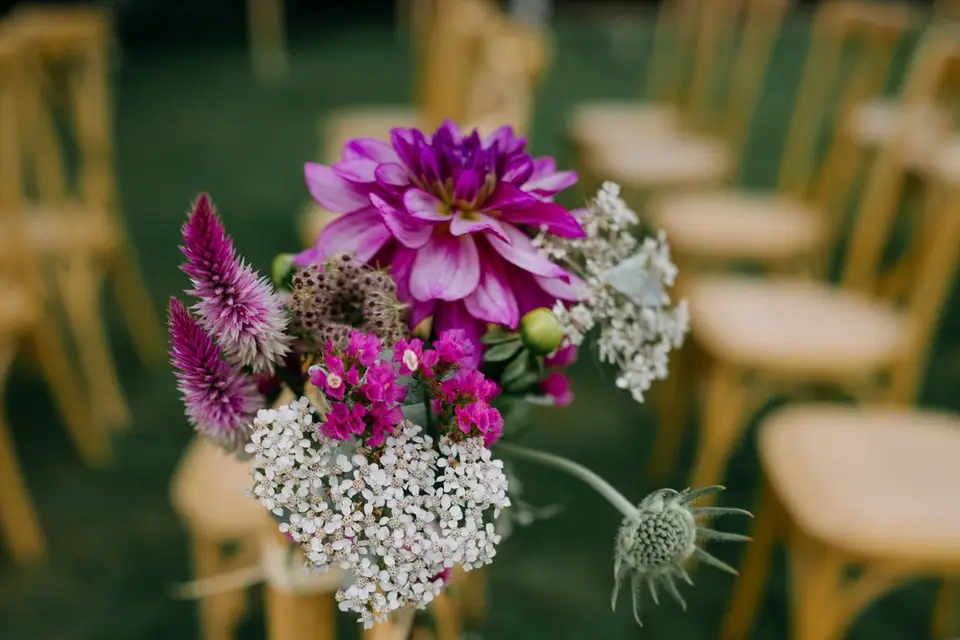 Le Champ Étoilé — photo 3