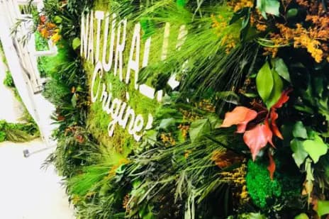 Pano Nice ouest — photo 5