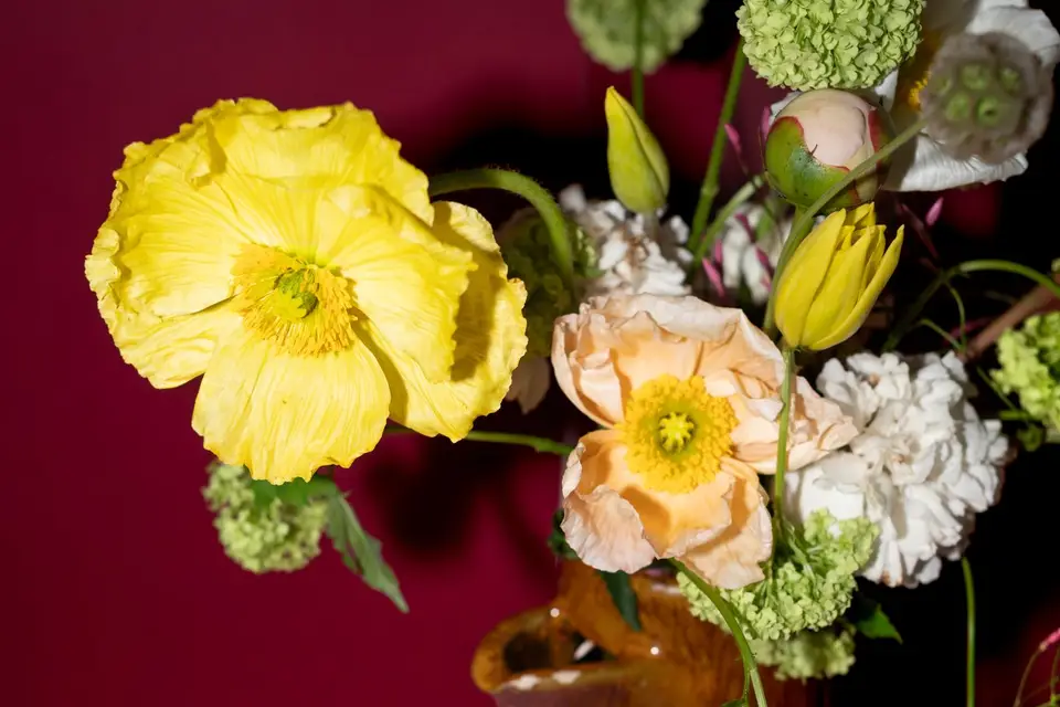 C’est Fleuri — photo 7