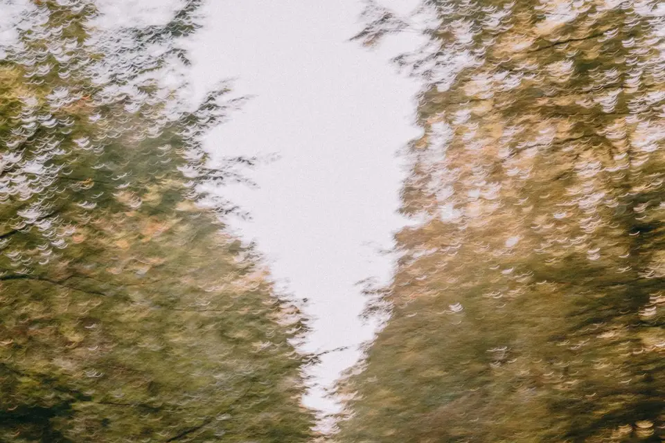 Noé C. Photography — photo 8