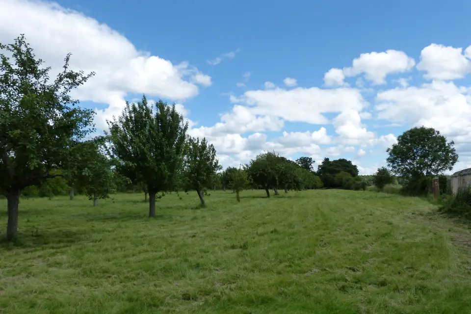 Domaine de l'Aubinette — photo 4