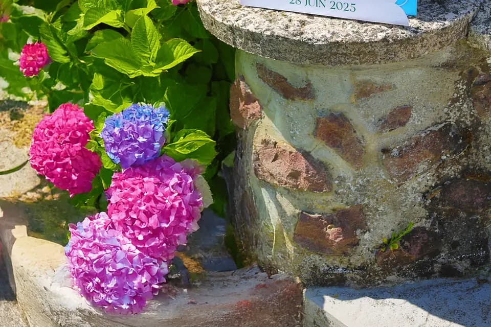 Effet A4 — photo 2