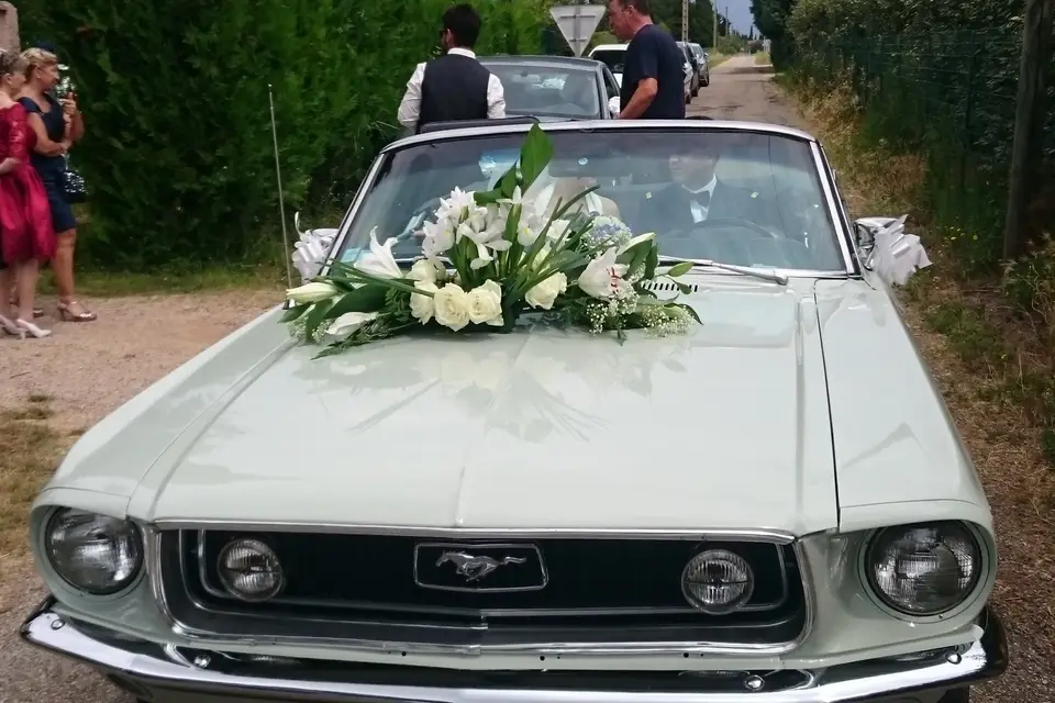 Mustangcab — photo 5