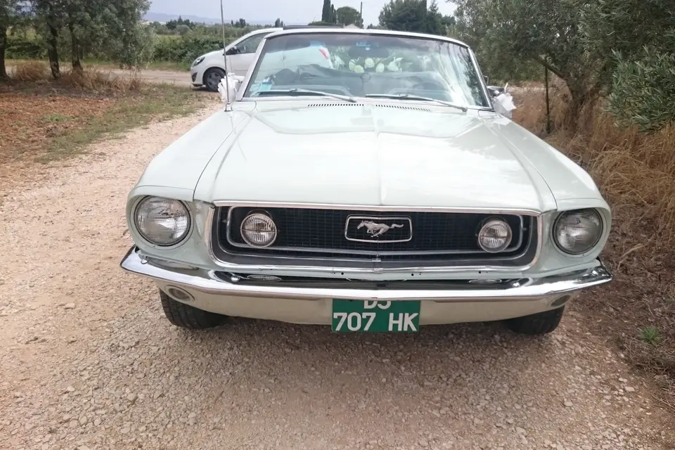 Mustangcab — photo 6