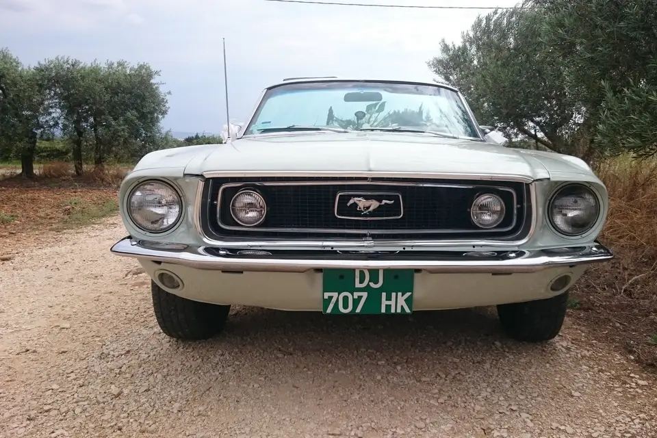 Mustangcab — photo 4