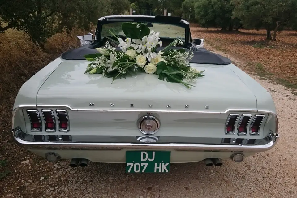 Mustangcab — photo 1