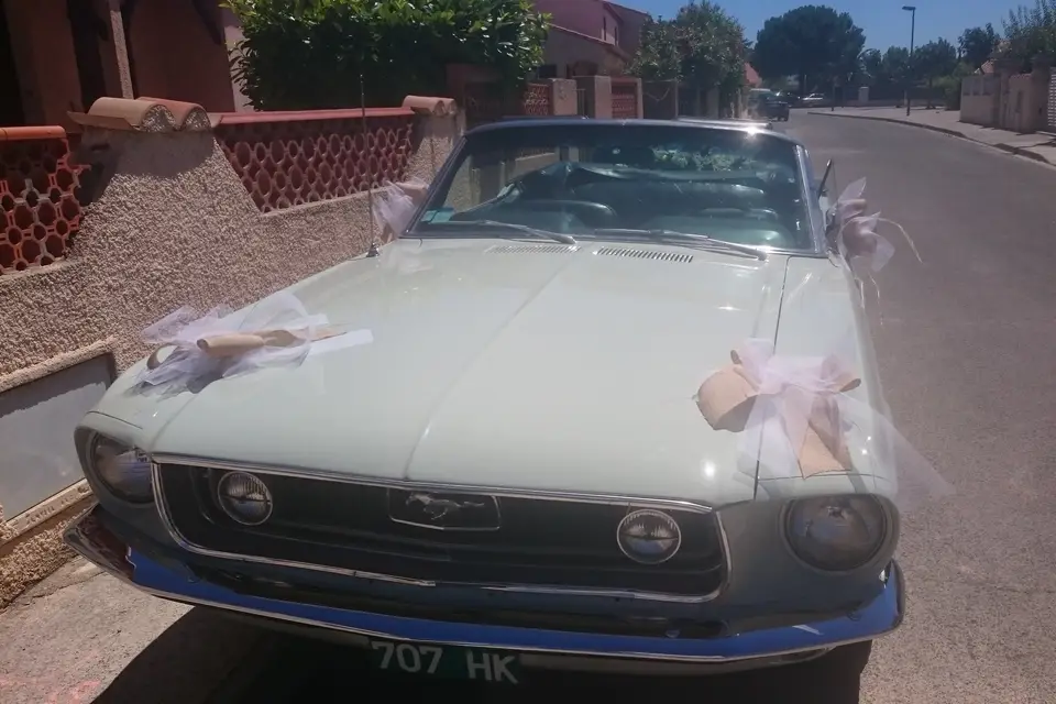 Mustangcab — photo 3