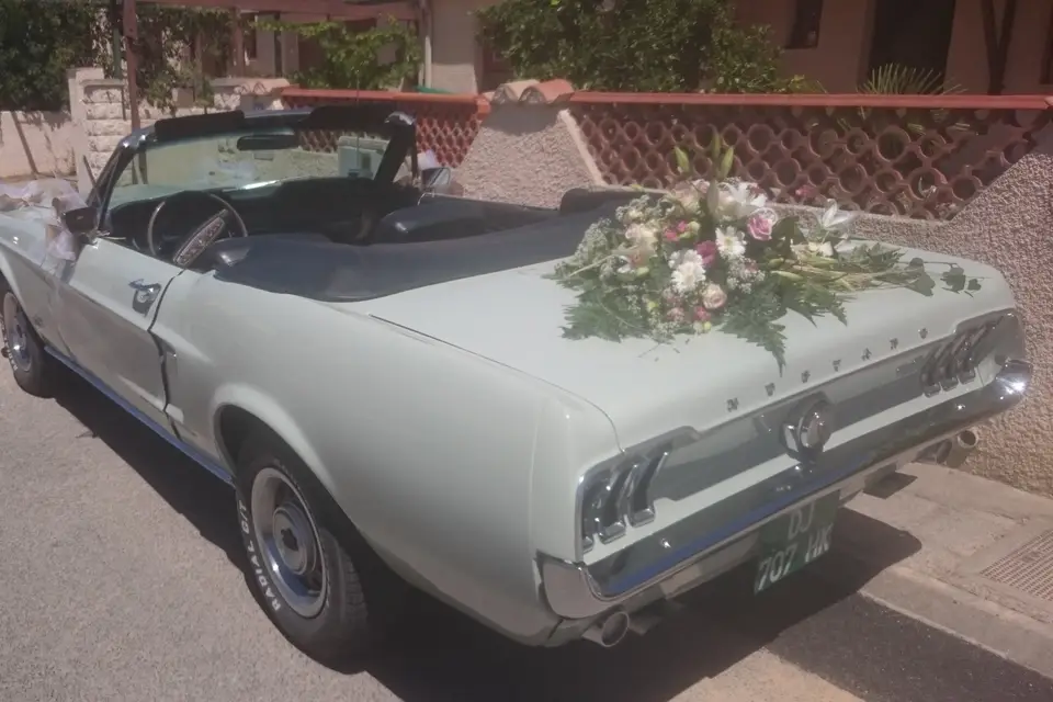 Mustangcab — photo 2