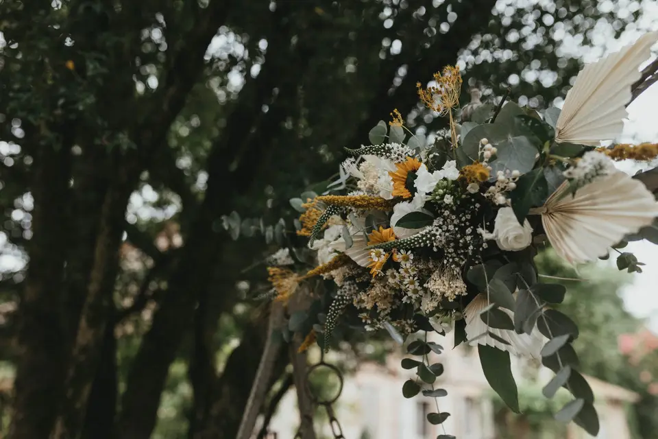 Nora N Organisation — photo 1