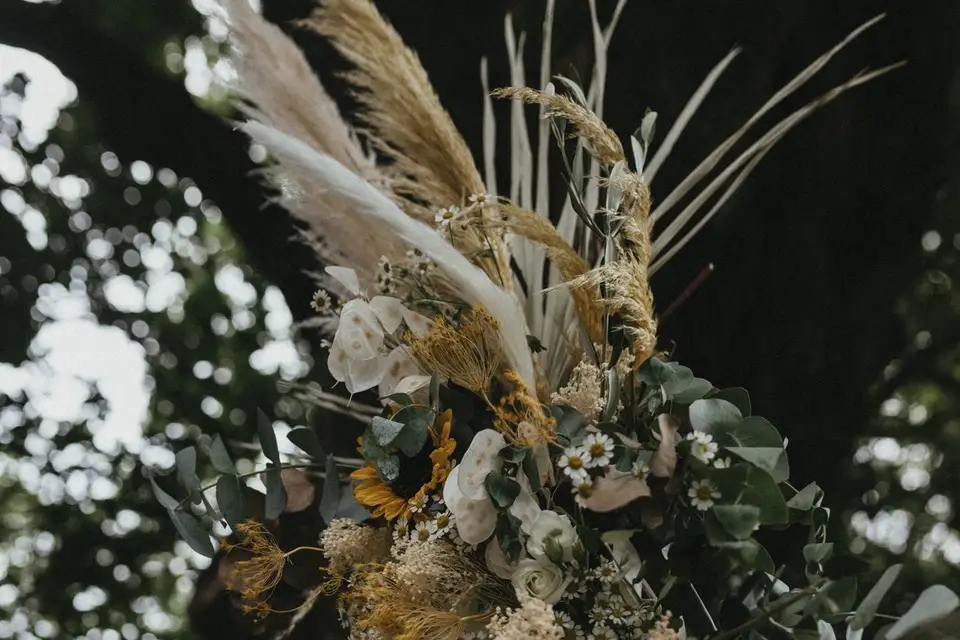 Nora N Organisation — photo 2