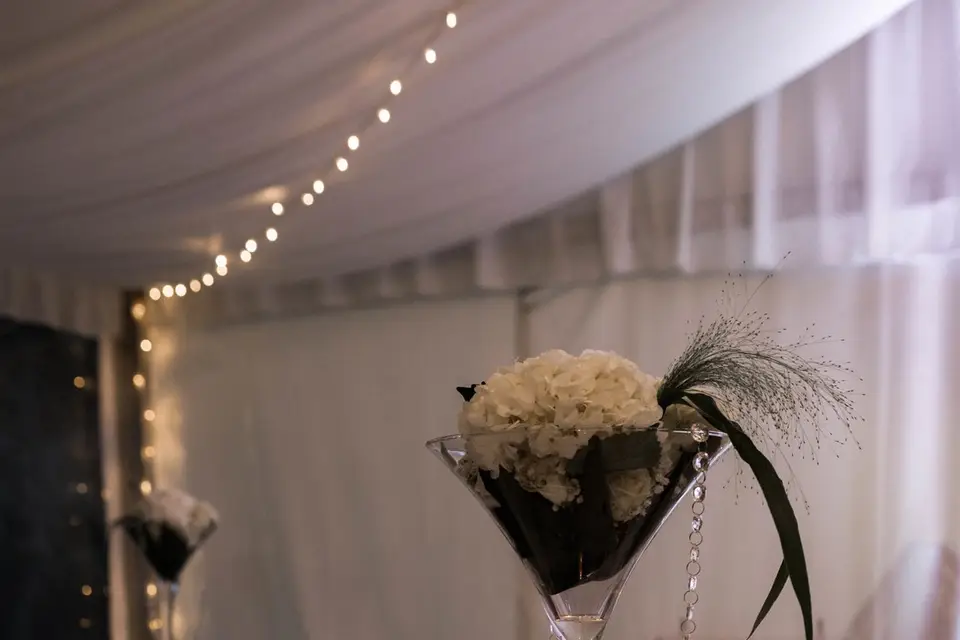 Nora N Organisation — photo 4