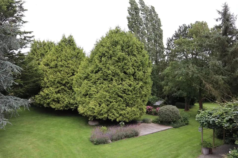 Le Moulin de l'Arguenon — photo 7