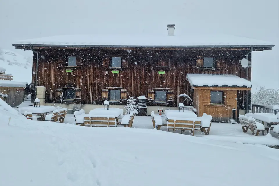 Alticlub — photo 3