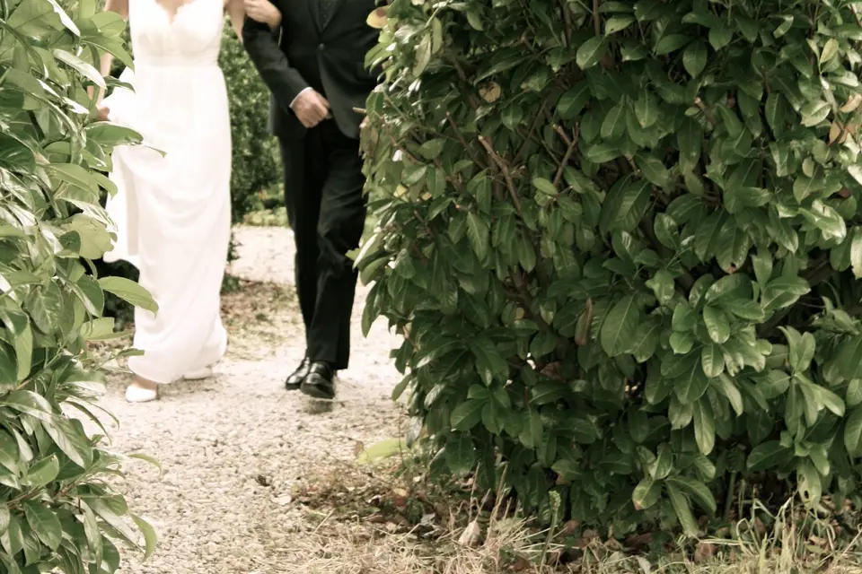 Le Colombier — photo 2