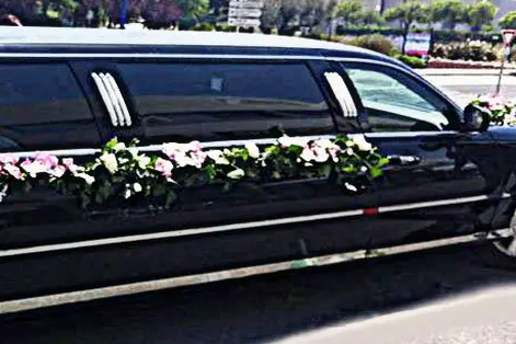 Alexis Limousine — photo 1