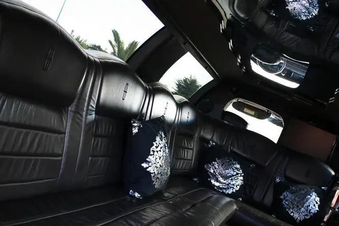 Alexis Limousine — photo 2