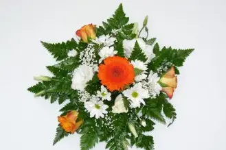 Plant Center Fleurs — photo 4