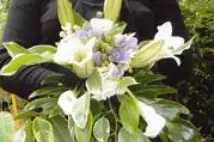 Plant Center Fleurs — photo 1