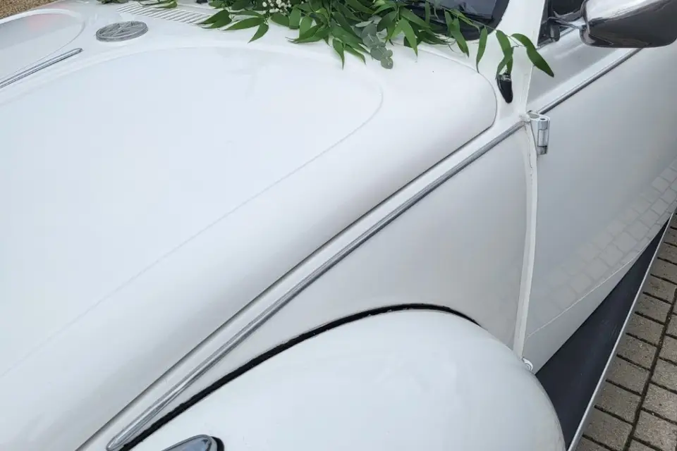 Moïsa Jomin — photo 4