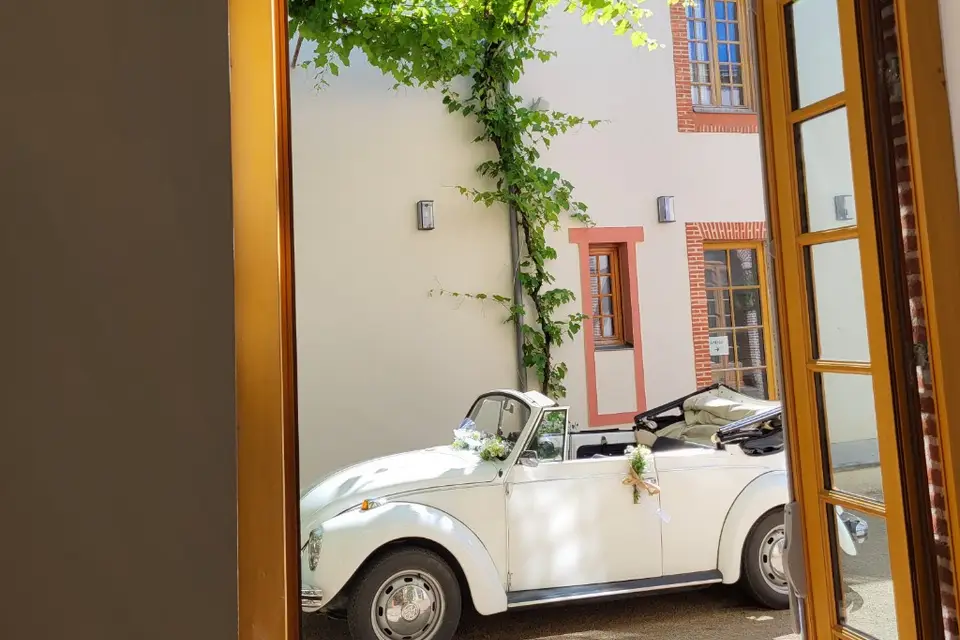 Moïsa Jomin — photo 7