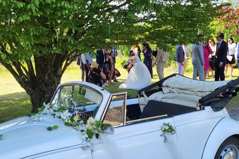 Moïsa Jomin — photo 8