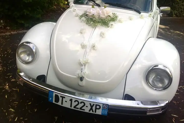 Aurélien Méchineau — photo 3