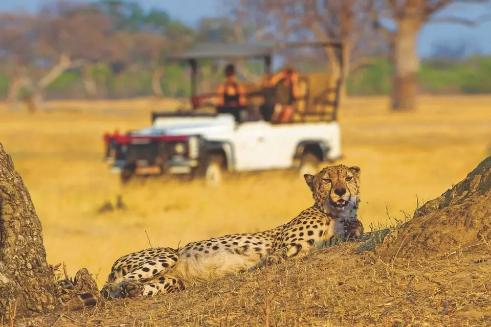 Kit Voyages — photo 3