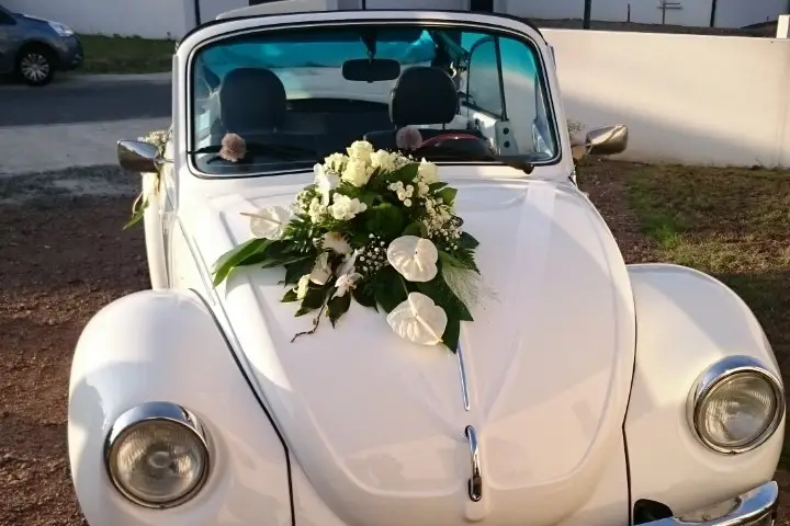 Aurélien Méchineau — photo 1